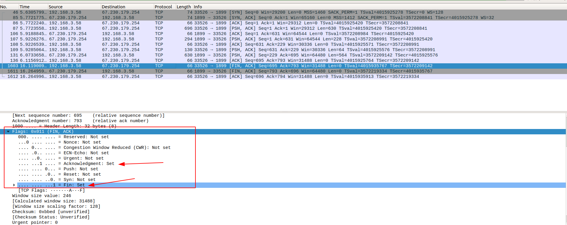 56_internet_TCP_wireshark_frame